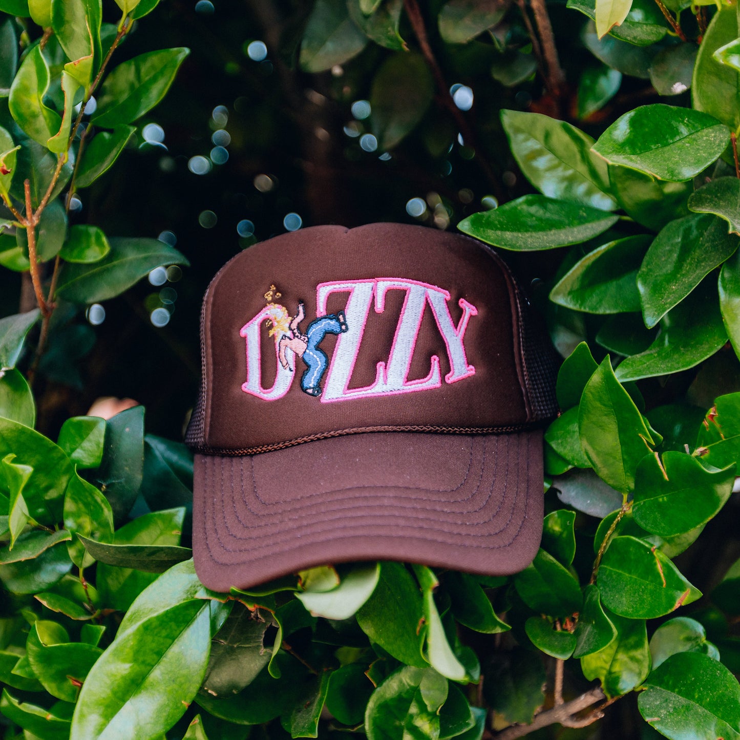 Brown Dizzy Trucker